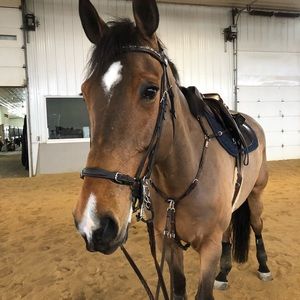 Meet your Posher, Natalie